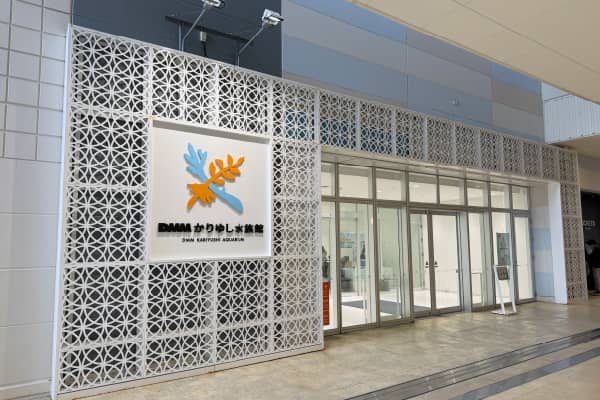 DMM かりゆし水族館（車で約10分）